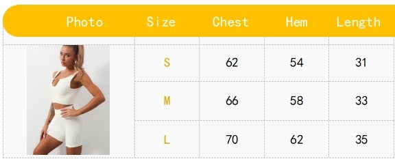 Seamless Sports Bra for Women | Ribbed Workout Crop Top