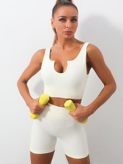 Seamless Sports Bra for Women | Ribbed Workout Crop Top