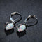 Four-claw Oval Opal Earrings European And American Ornament - MultyPros