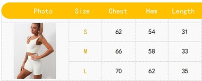 Seamless Sports Bra for Women | Ribbed Workout Crop Top
