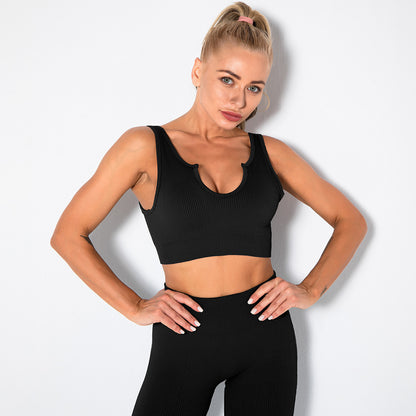 Seamless Sports Bra for Women | Ribbed Workout Crop Top